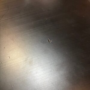 LP Black Box Cajon (B-Stock) - Image 4